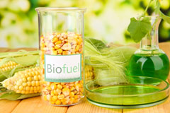 Nowton biofuel availability